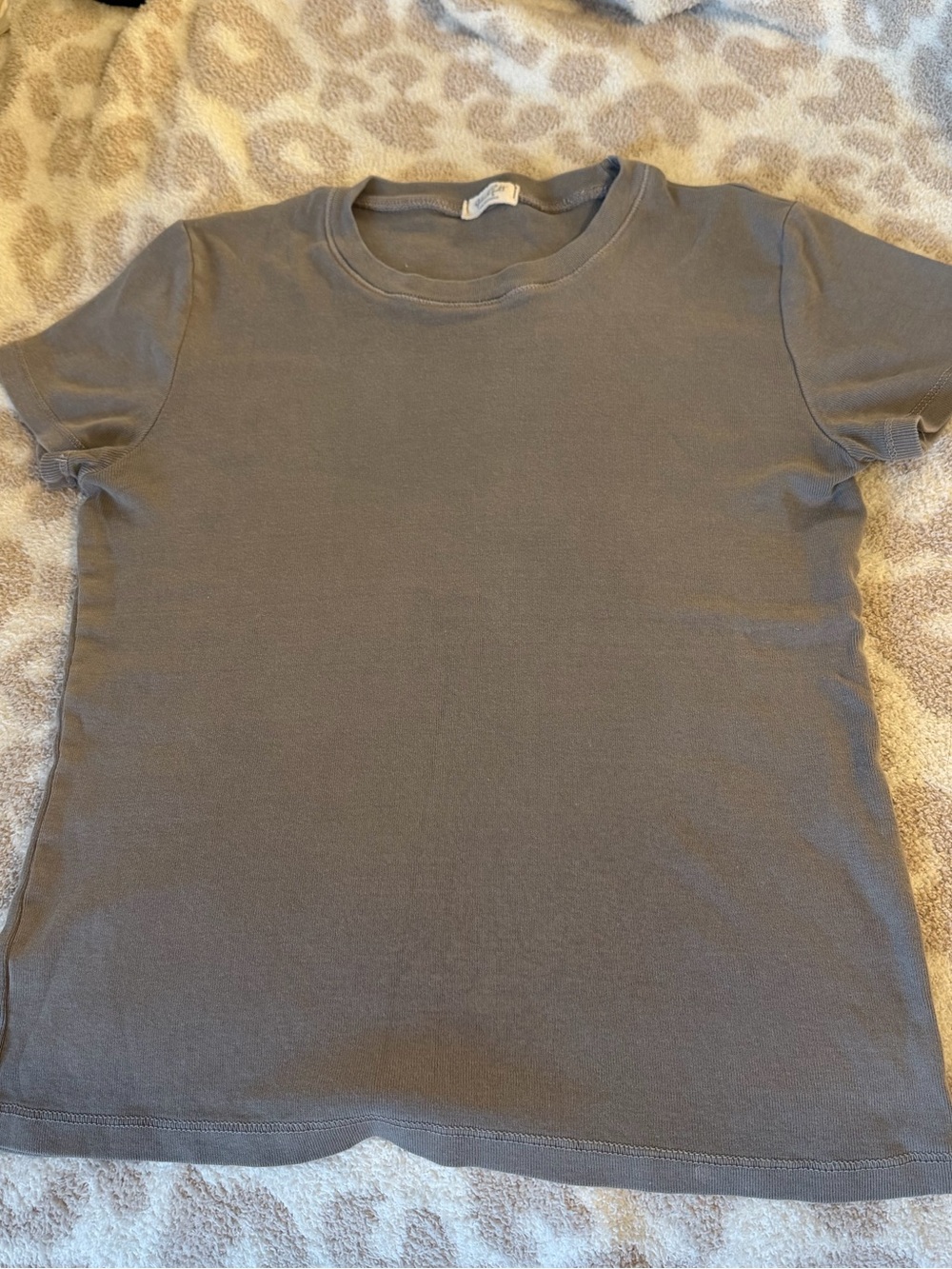 Brandy Melville Short Sleeve Tee - Gray